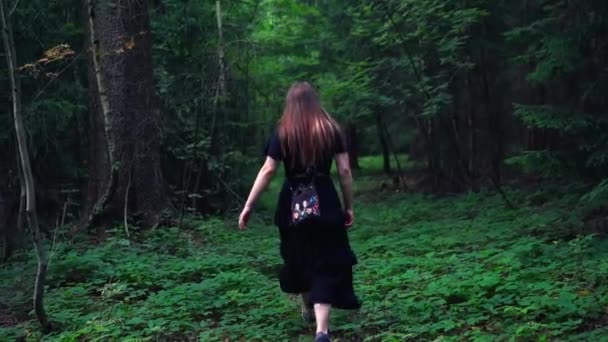 黒いドレスを着た若い女性のショットは 日中の濃い成長で森を歩いています — ストック動画