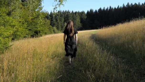 Dívka Dlouhými Šaty Černých Šatech Kráčí Stezce Vysoké Trávě Venkovské — Stock video