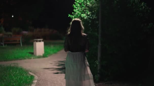 長髪の若い少女のシルエットは 夏の夜に公園のランプに照らされた道を歩きます — ストック動画