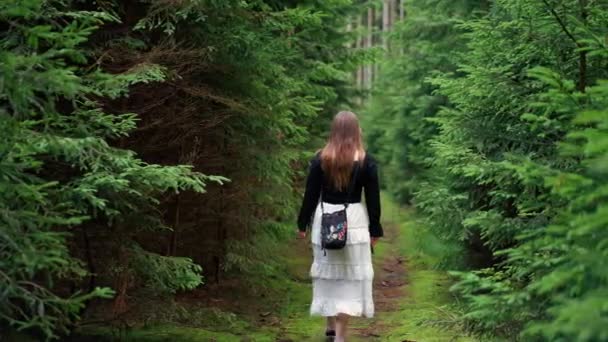 背中の女性のショットは 白いスカートを着た緑の茂みと木の間の狭い道を歩いています デンズフォレスト — ストック動画