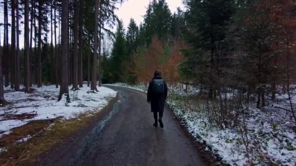 Muž Kráčí Silnici Černém Saku Lese Batohem Zbytky Sněhu Jaře — Stock video
