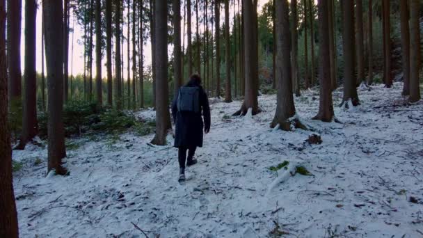 穿着黑色夹克背着背包的旅行者穿过一片雪地的森林 一个人走出这条小路 迷失在密密麻麻的大自然中 寻找着通向文明的道路 — 图库视频影像