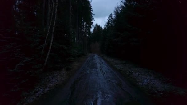 Går Lerig Stig Skogen Vintern Natten Den Täta Mörka Skogen — Stockvideo