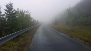 Sabahları sisli havada orman yolu. Yürüyen manzara. Orman ve tepe.