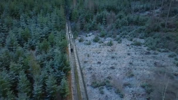 Hombre Camina Por Camino Fangoso Medio Bosque Nevado Invierno Clima — Vídeo de stock