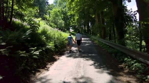 Літня Пара Тримає Руки Щоб Прогулятися Дорозі Лісі Повільний Рух — стокове відео