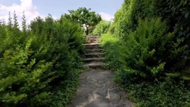 Yeşil Bitkilerin Ortasında Taşlı Merdivenleri tırmanan Kişi, Svitavy