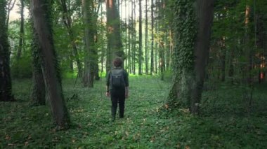 Genç gezgin, güneşli bir yaz gününde ağaçlar ve sarmaşıklarla yeşil bir ormanda ağır çekimde yürüyor. Doğada bir yürüyüş enerjiyi tazeler.