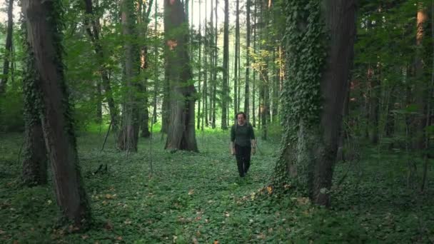バックパックを持った男は 晴れた夏の日のゆっくりとした動きでアイビーでいっぱいの緑の森を歩きます 自然の中で歩くことと旅行は健康上の利点とエネルギーをもたらす — ストック動画