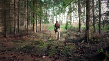 Uzun saçlı genç kızlar ormanda ağır çekimde yürüyorlar. Ağaçlarla dolu doğal bir arazide yürümek için güneşli bir gün.