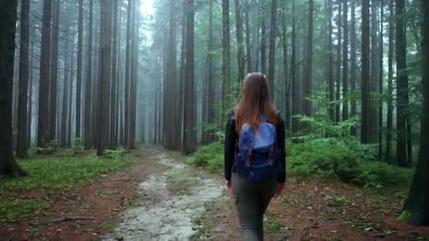 Hinterschuss Eines Mädchens Mit Rucksack Beim Wandern Auf Ländlichem Waldweg — Stockvideo