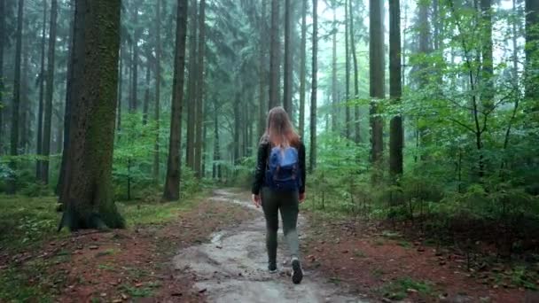 Młoda Dziewczyna Idzie Zwolnionym Tempie Przez Gęsty Las Wzdłuż Ścieżki — Wideo stockowe