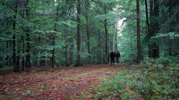 Fiú Lány Együtt Sétálnak Kéz Kézben Erdőben — Stock videók