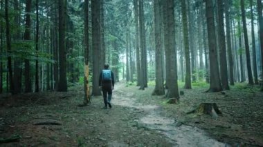 İşte orada. Gün ışığı orman ağaçlarının arasından doğuyor, genç adam yürüyor.