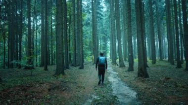 Sırt çantalı bir adam uzun ağaçlar arasında orman yolunda yürüyor. Soğuk bir sabahta sisli mistik bir ormanın yavaş çekim görüntüsü. Medeniyetin dışında yalnız seyahat etmek için bir sonbahar günü.