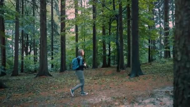 Дівчина Довгим Волоссям Рюкзаком Йде Лісовою Стежкою Холодний Осінній Ранок — стокове відео