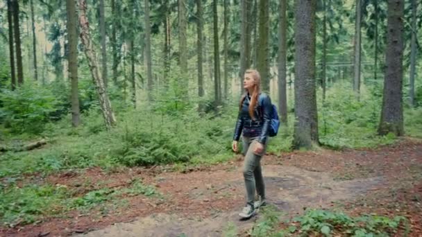 バックパックを持った少女は ゆっくりとした動きで森の中を歩きます 秋の晴れた楽観的な一日 — ストック動画