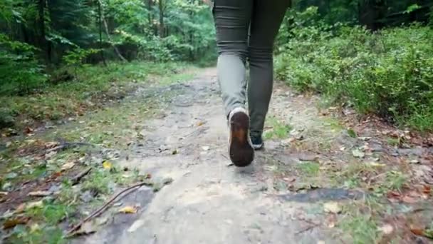 Pernas Uma Menina Andando Sapatos Conversar Caminho Floresta Câmera Lenta — Vídeo de Stock