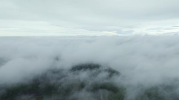 寒い朝の風景に対する霧の凝縮 雲の上の空を見る — ストック動画