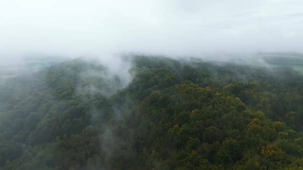 Vista Aérea Uma Paisagem Montanhosa Florestas Envoltas Névoa Árvores Caducas — Vídeo de Stock