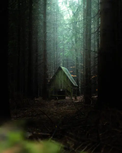 Çek Cumhuriyeti 'nin Ceska Trebova köyünde kış günü.