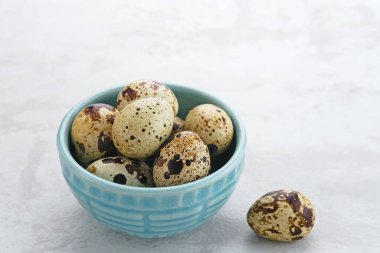 Gri arka planda kasede servis edilen taze bıldırcın yumurtaları. Metin için boşluk