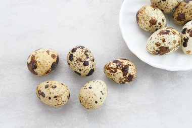 Gri arka planda kasede servis edilen taze bıldırcın yumurtaları. Metin için boşluk