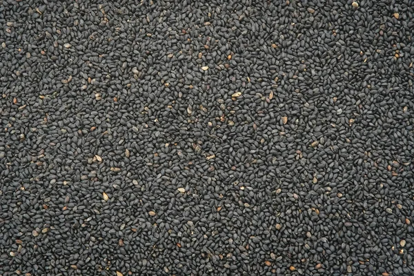 Selasih Oder Basilikum Samen Ist Ein Gewürz Aus Der Basilikumpflanze — Stockfoto