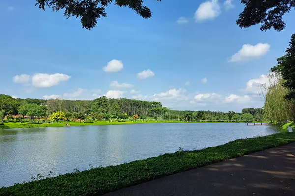 Bela Vista Para Lago Pequeno Lago Indonésia Com Árvores Verdes Fotos De Bancos De Imagens