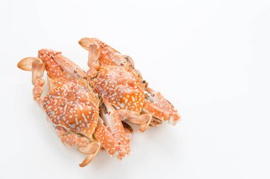 Buharda pişmiş mavi yengeç servis edilir, yemek hazır.