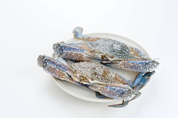 stock image Fresh Blue Crab, food preparation