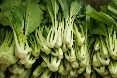 Bir yığın taze Bok Choy, Yakın çekim.