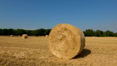  İtalya 'nın Kırsal Bölgesi' nde Çuvallı Yaz Manzarası - 5K