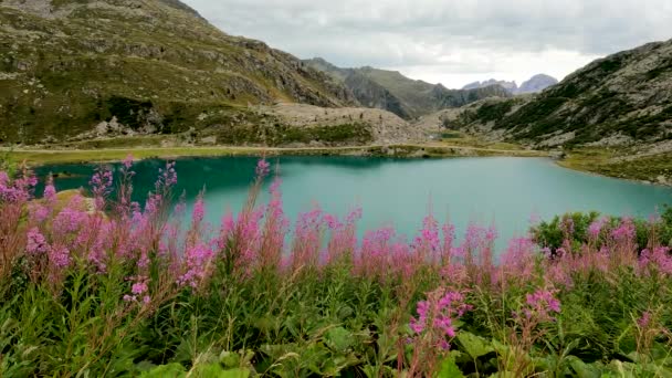 Фантастичний Пейзаж Альпійському Озері Корніселло Італія — стокове відео