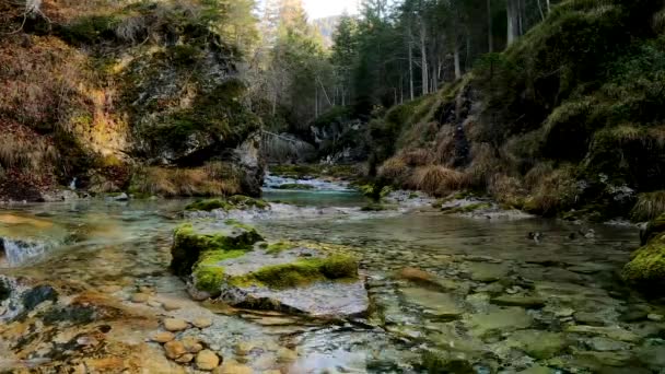 Jesienny Krajobraz Potoku Alpejskim — Wideo stockowe