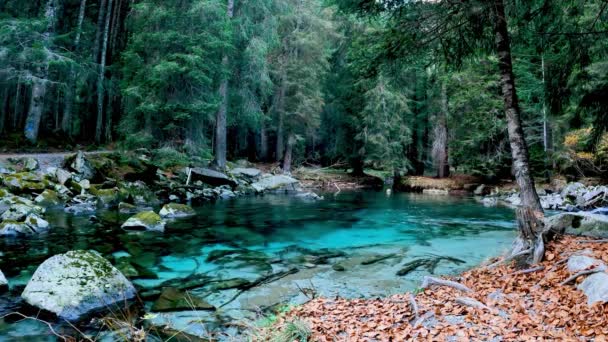 Herfst Landschap Turquoise Lake Amola — Stockvideo
