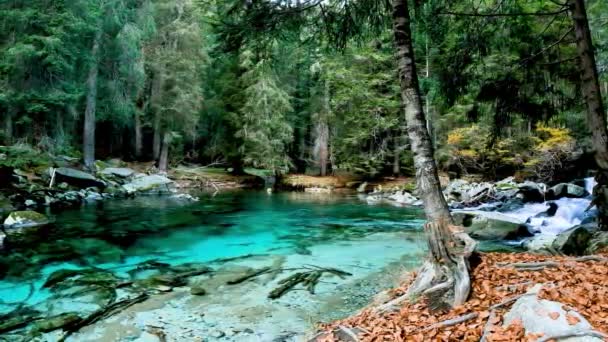 Espectacular Paisaje Alpino Lago Amola — Vídeos de Stock