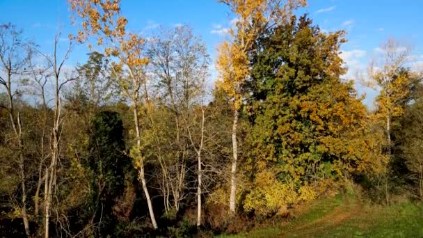 Drohne Aus Der Luft Herbstlandschaft Italienischen Wald — Stockvideo