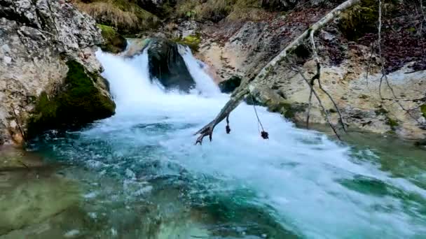 Alpenlandschap Een Beek Met Groen Water — Stockvideo