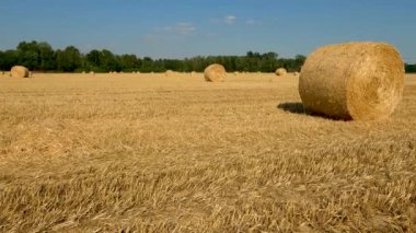 Sheaf Field 'da yaz manzarası - 5K