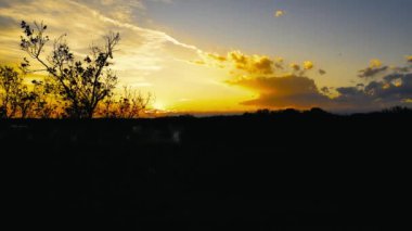  Hava Aracı - Ormandaki Günbatımında Manzara