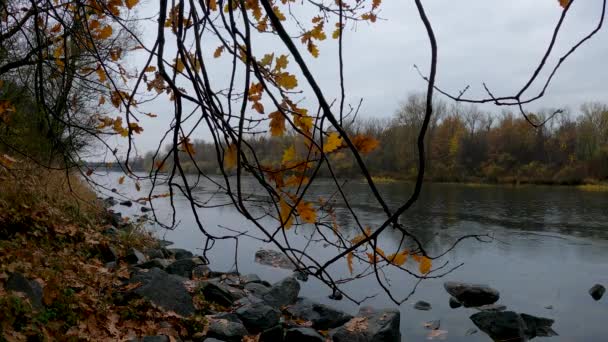Φθινοπωρινή Βροχερή Μέρα Στον Ποταμό — Αρχείο Βίντεο