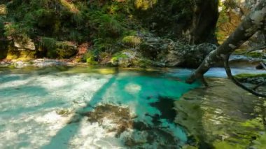 Bir Alp Akıntısı üzerinde Yaz Manzarası - 5K