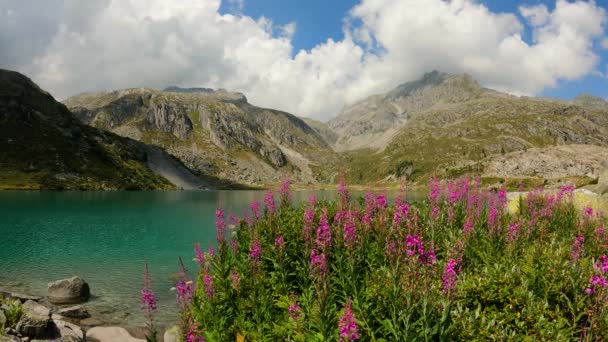 Letni Krajobraz Nad Alpejskim Jeziorem Cornisello — Wideo stockowe