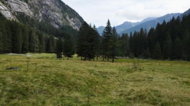 Hava Aracı - Sonbahar Dağ Manzarası