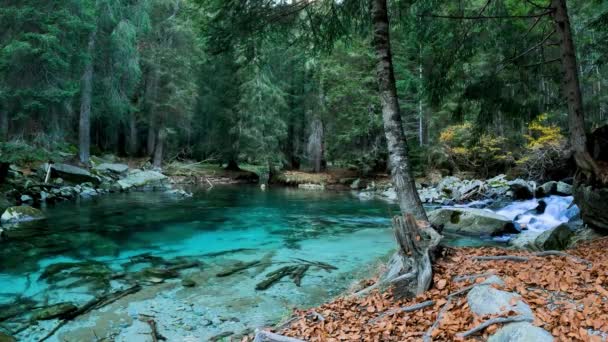 Fantastické Alpské Jezero Dolomitách Podzim — Stock video