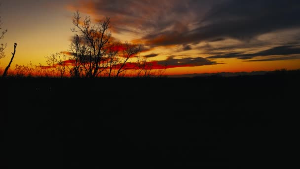 Drohne Aus Der Luft Landschaft Bei Sonnenuntergang Wald — Stockvideo