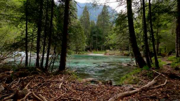 Sommerlandschaft Einem Alpensee Mit Türkisfarbenem Wasser — Stockvideo