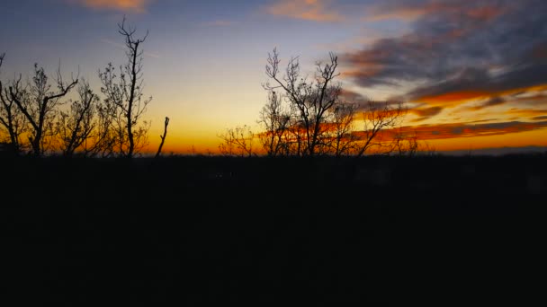 Antenni Drone Sunset Yli Pohjois Euroopan Metsä — kuvapankkivideo