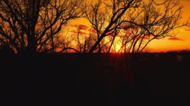 Aerial Drone - Sunset Landscape on a Northern European Forest